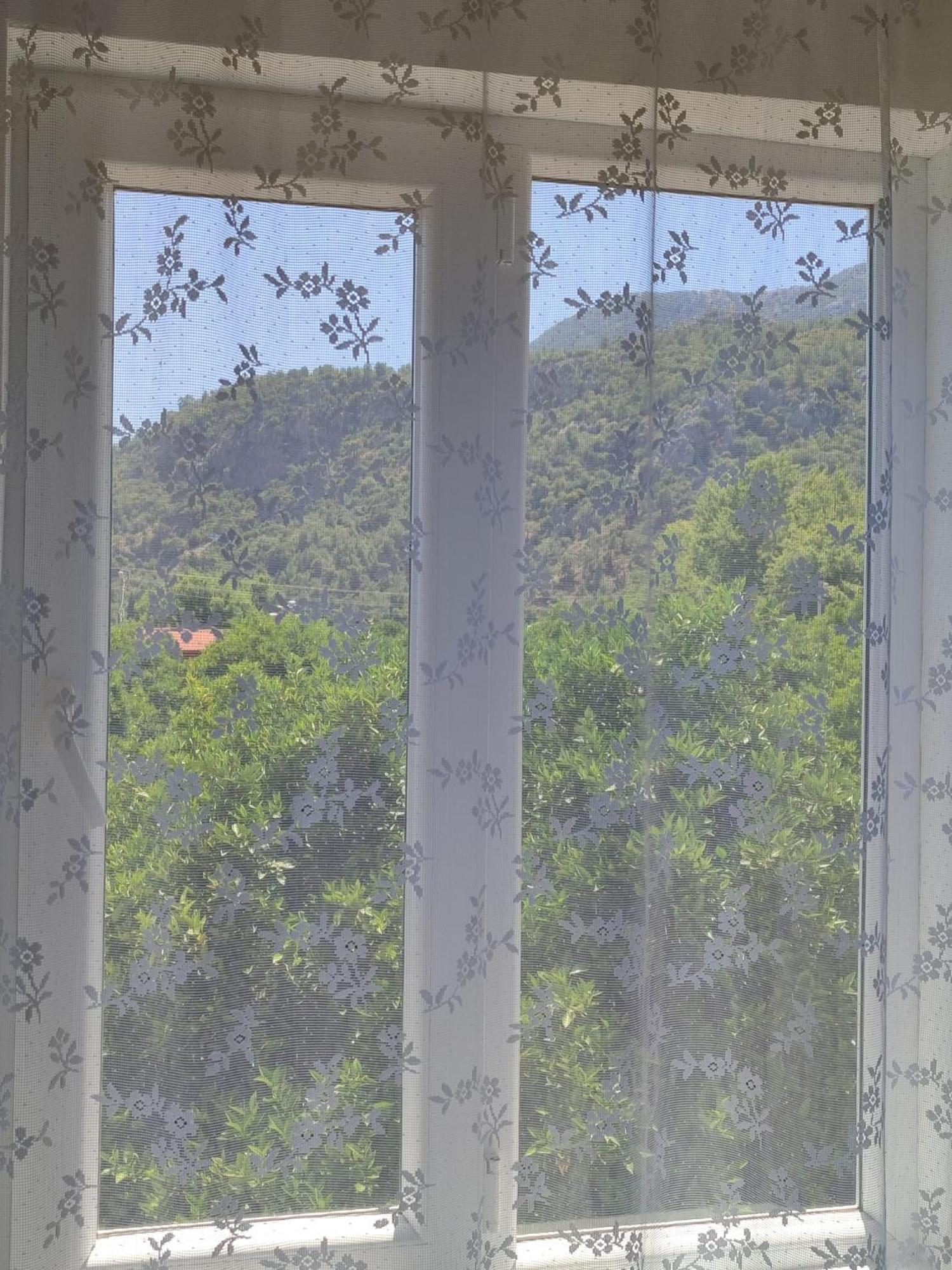 Apartamento Flora Pansiyon Cirali Kemer Exterior foto